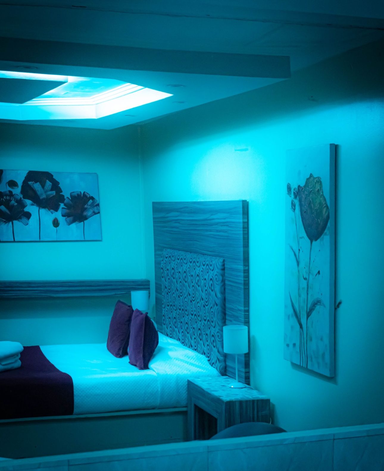 Habitación Jacuzzi VIP en Blue : MotelNow