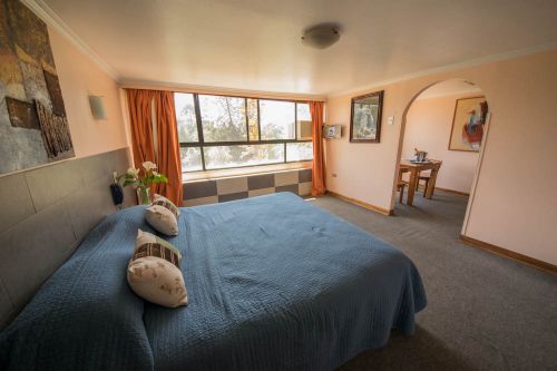 Habitación VIP en Del Parque : MotelNow