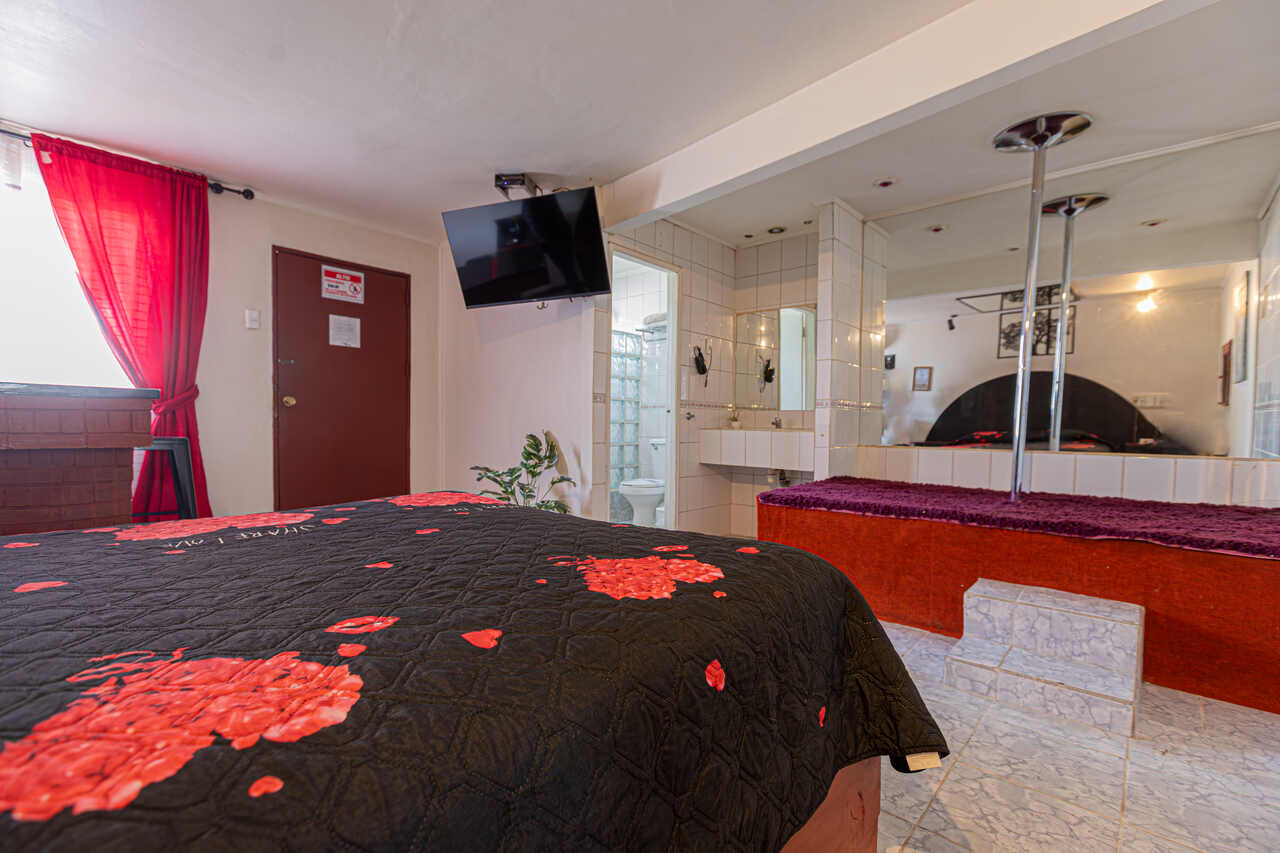 Habitación VIP en La Boheme : MotelNow