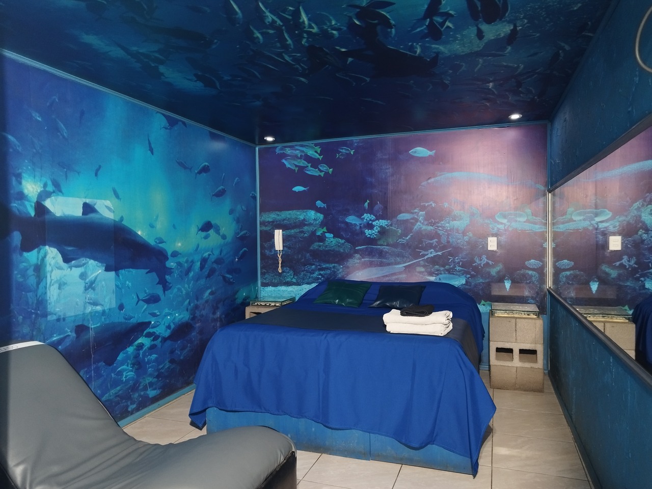 Habitación Atlantis en Zeus : MotelNow