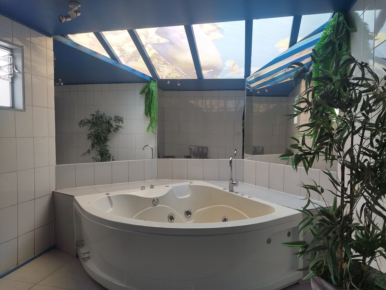 Habitación Poseidón en Zeus : MotelNow