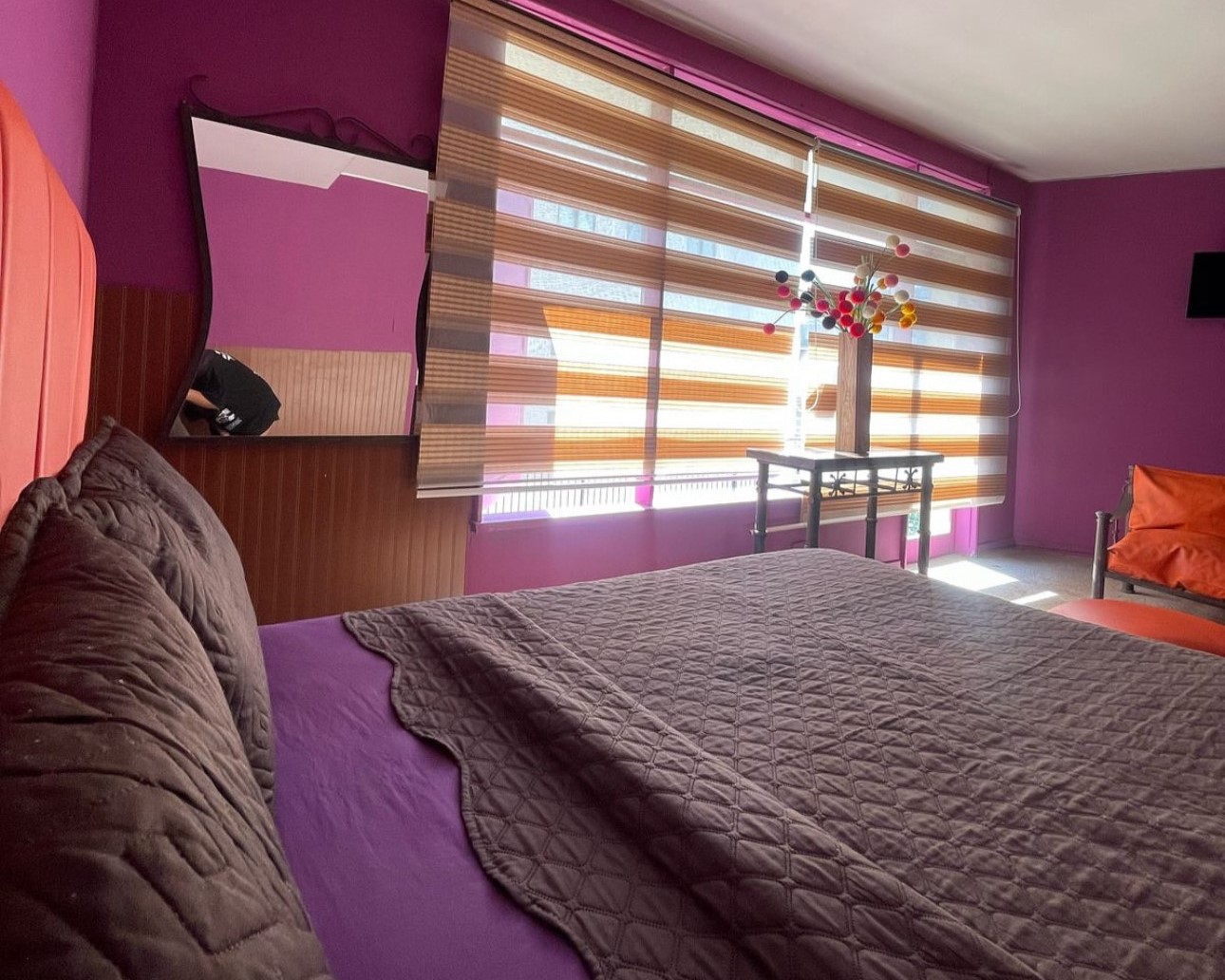 Habitación Simple en Bellas Artes Palace : MotelNow