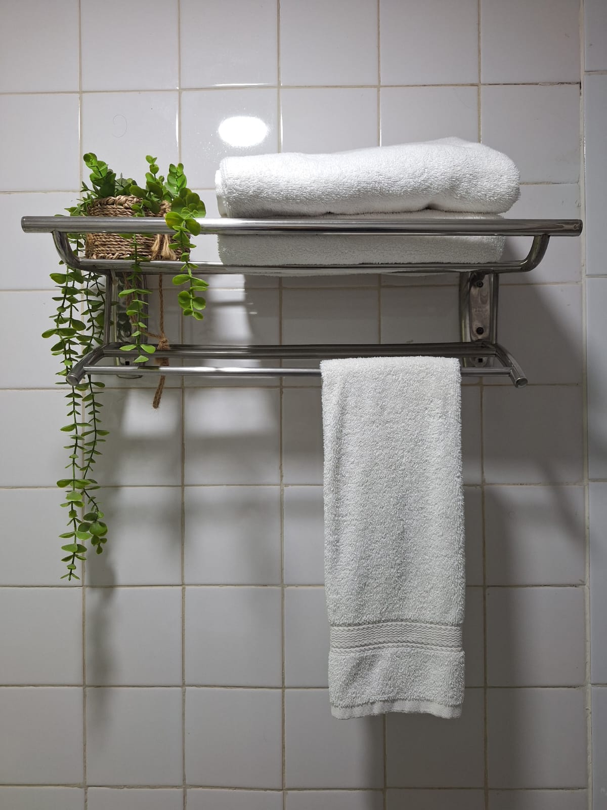 Habitación Suite Jacuzzi en Hotel Asturias : MotelNow