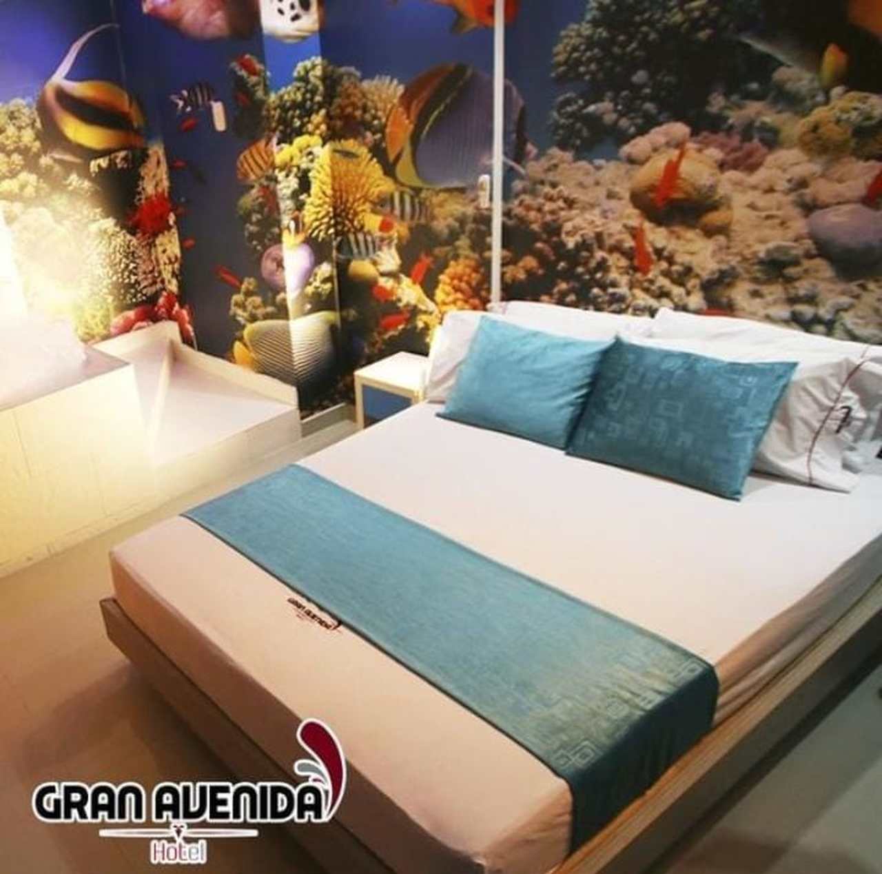 Habitación Sencilla en Hotel Gran Avenida  : MotelNow