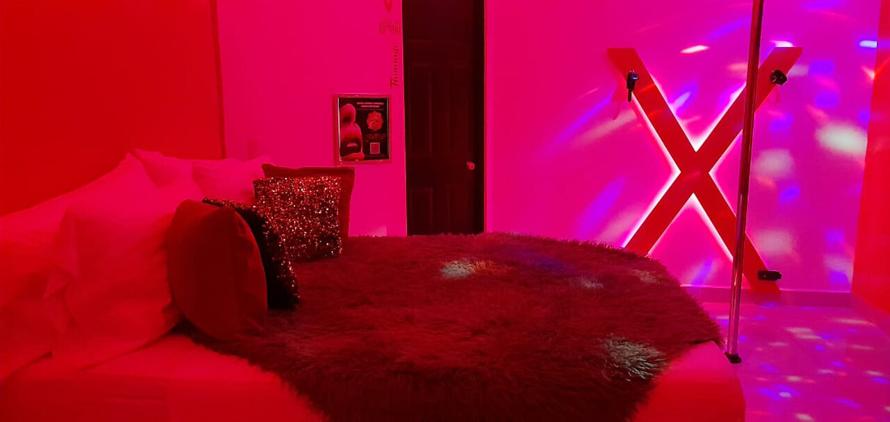 Habitación Suite Junior  en Flamingo : MotelNow