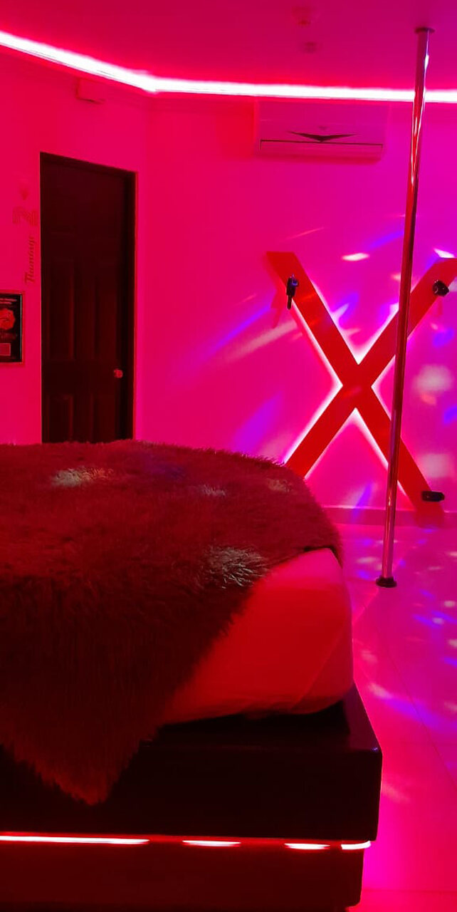 Habitación Suite Junior  en Flamingo : MotelNow