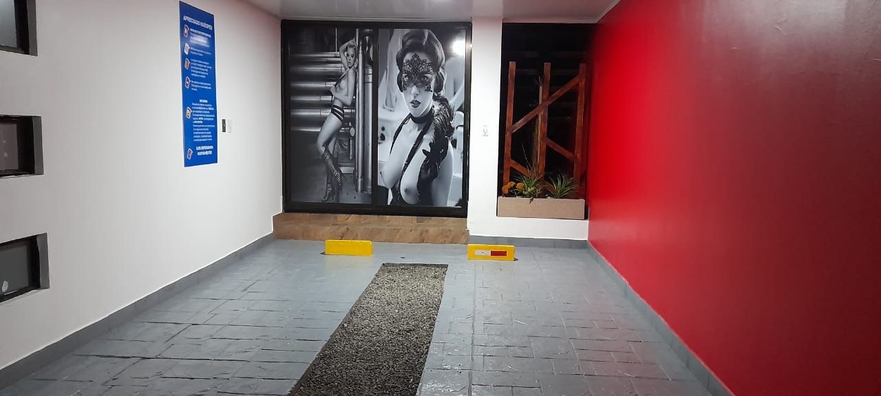 Habitación Suite Junior Temática en Flamingo : MotelNow